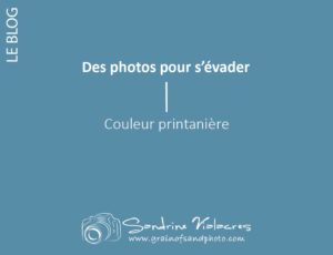 Read more about the article Des photos pour s’évader : couleur printanière